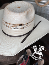 Load image into Gallery viewer, The Jarboe Straw Hat