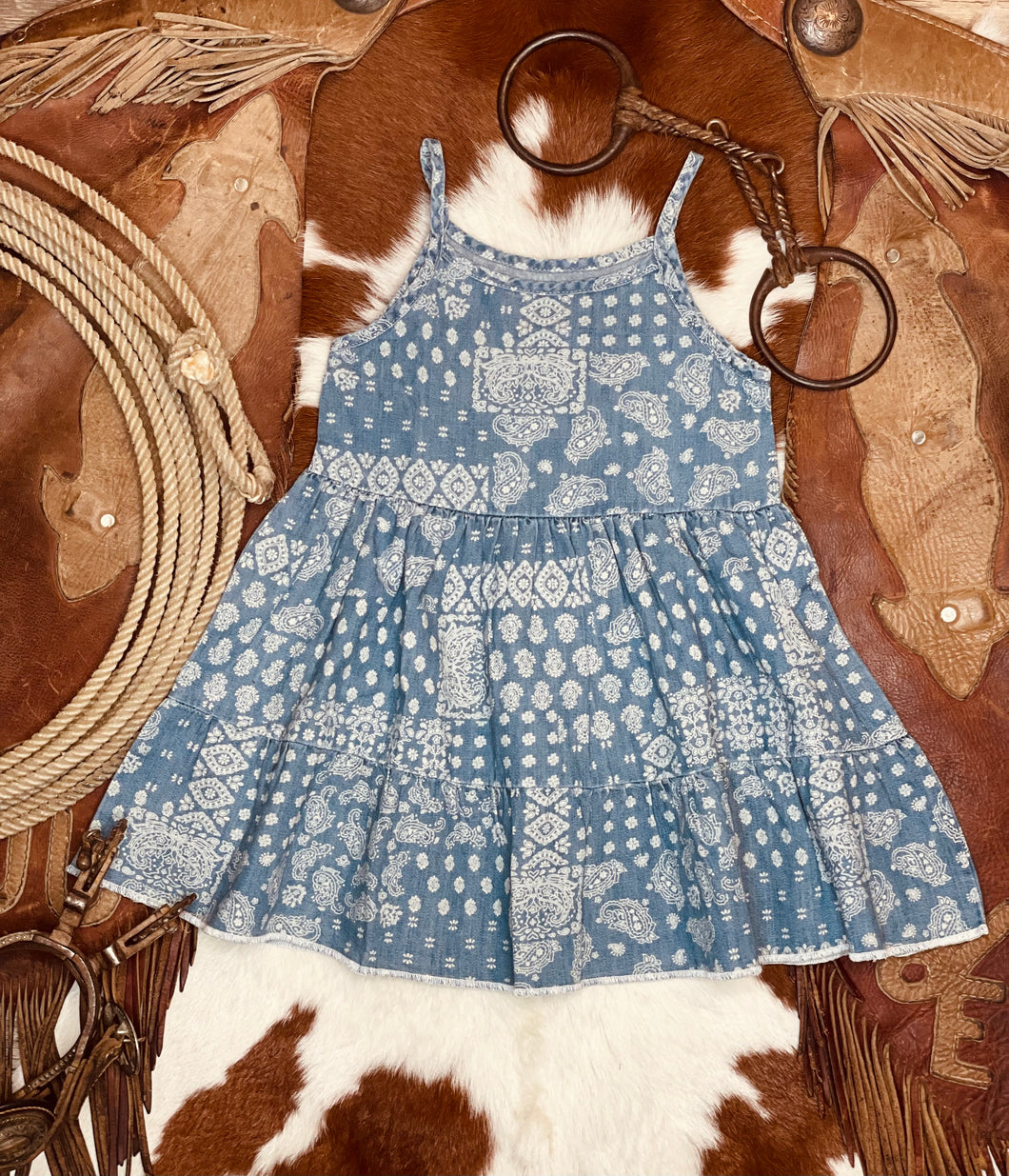 Stacy Denim Dress