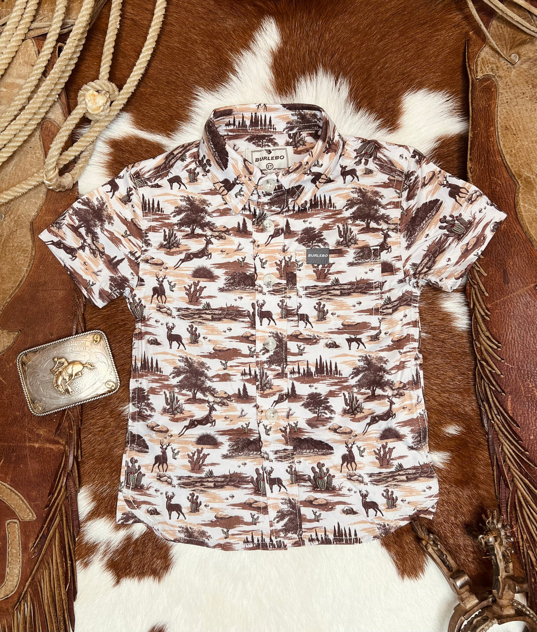 Brush Country Button Up