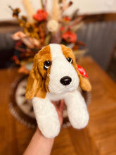 Load image into Gallery viewer, Bruce Basset Hound
