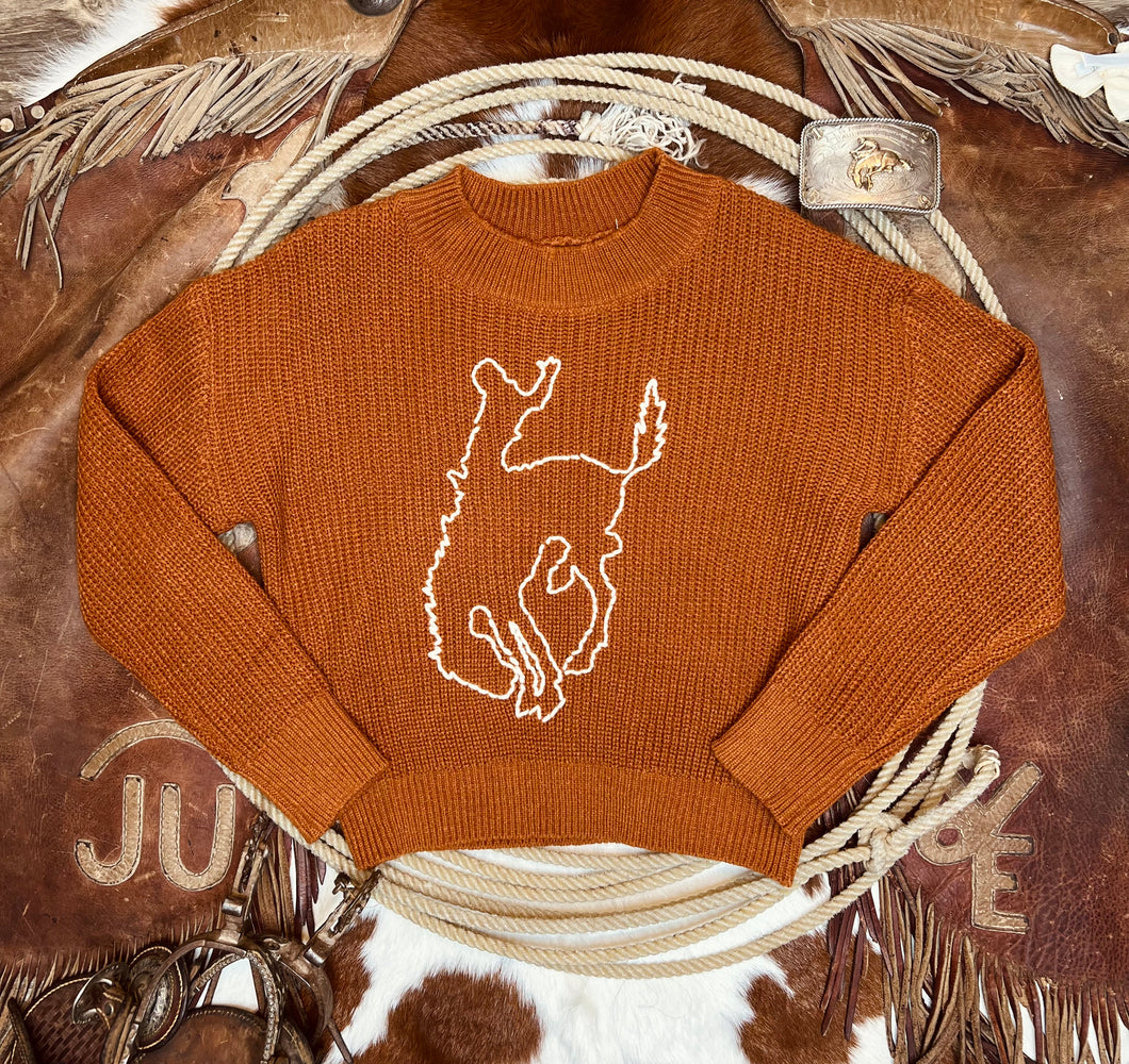 Rowdy Rodeo Sweater