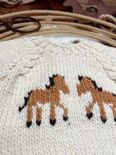 Load image into Gallery viewer, Pony Club Sweater
