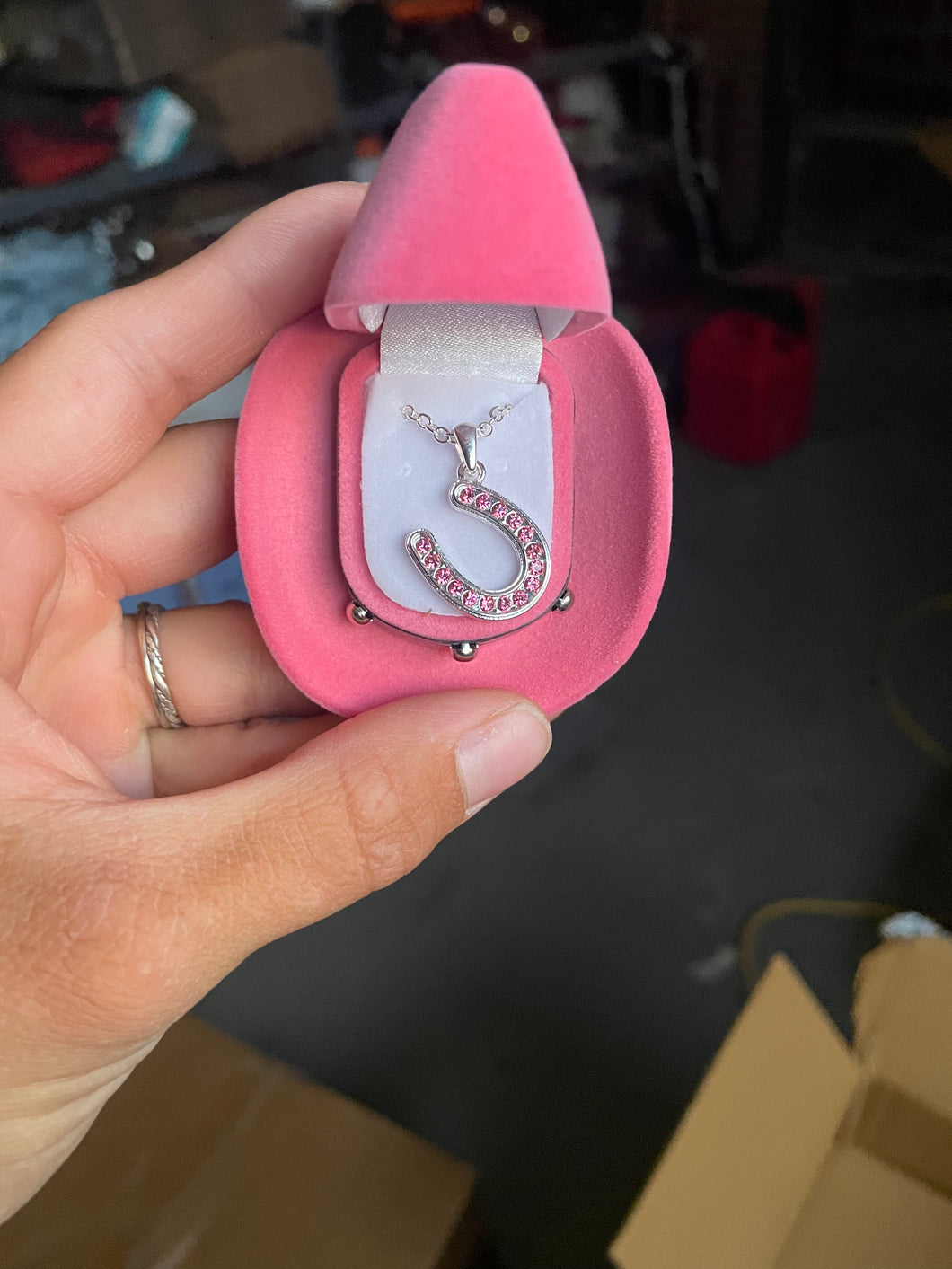 Horseshoe Necklace - Pink