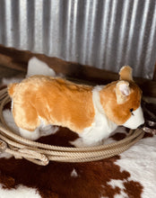 Load image into Gallery viewer, Callie The Corgi Plush Toy
