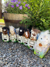 Load image into Gallery viewer, Breyer Showstopper Horses
